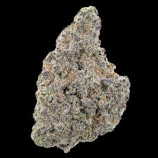 Visit SherlocksGlass . com for Full Current Menu