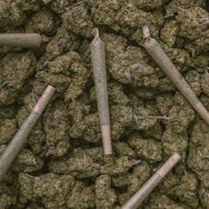 Baox (Hybrid) Preroll