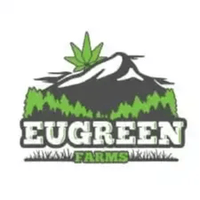 Purple Pineapple (Sativa)