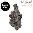 Tru|Med Project 4516