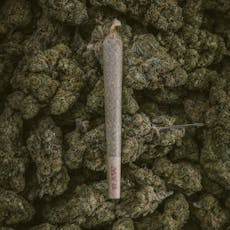 Stardust CBG Preroll