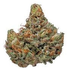 Master Bubba