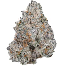 Purple Tesla - AAA Exotic THCa Flower - Living Soil