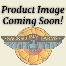 Evolve Power Adapter