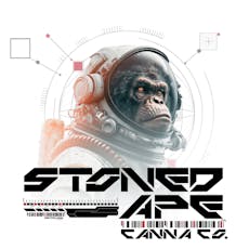 Banana Pudding 100mg