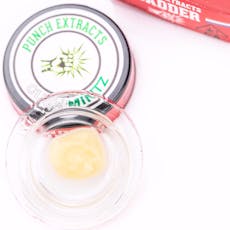 GUSH MINTZ BHO BADDER