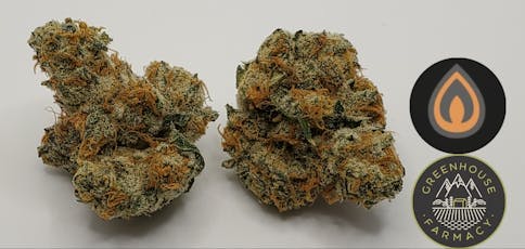 Georgia Pie 7g Flower