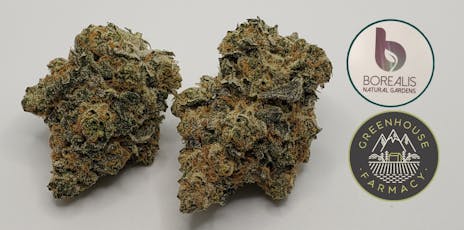 Skywalker OG 7g Flower