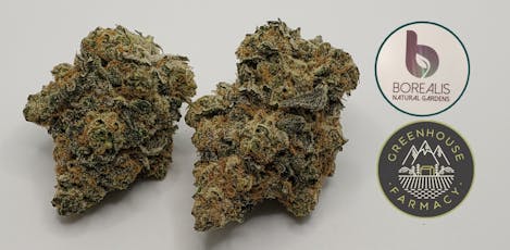 Skywalker OG 1g Flower