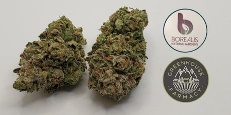 LA Pure Kush 1g Flower