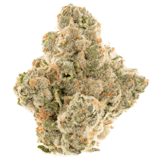 DECIBEL GARDENS - Watermelon Punch Flower 3.5g