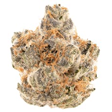 ZA - ZAylor Swift Grapescotch Flower 7g