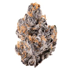 ZA - Iggy ZAzalea Mandarin Cookies Flower 7g