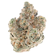 ZA - ZAllie Goulding Splash Flower 7g