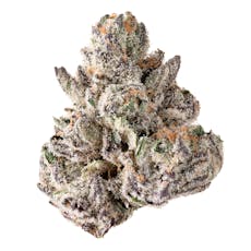 DECIBEL GARDENS - Benjamin’s in Space Flower 3.5g