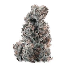 HYPE TRAIN - Agent Garlic Flower 3.5g