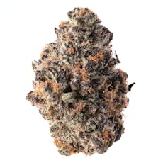 QUALITY OVER QUANTITY - Starfighter OG Flower 14g