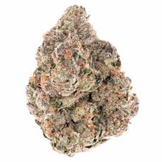 QUALITY OVER QUANTITY - GMO Sherbcrasher Flower 14g