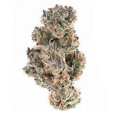HYPE TRAIN - Sunset Paradise Flower 14g