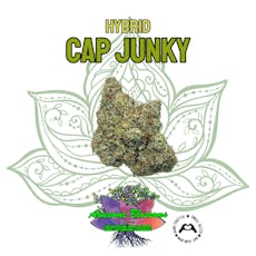 Cap Junky