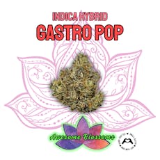 Gastro Pop