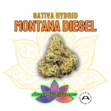 Montana Diesel