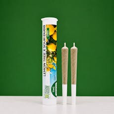 Lemon Tree x Sour Dubb by DHW .5g Pre Roll 2 Pack | Hybrid