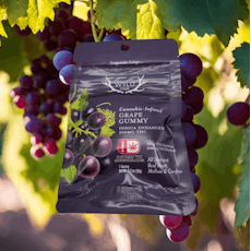 Wyld One 100mg single serve Grape