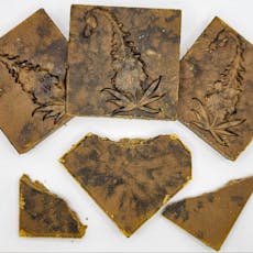 1g Power Plant Old School Hash by FIREWEED EXTRACTS