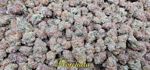 (H) Horchata Deli by SCORPION GRASS