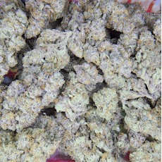 (I) Black Cherry Gelato Deli by PARALLEL 64