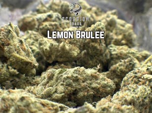 (S) Lemon Brulee Deli by SCORPION GRASS