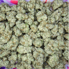 (I) Modified Grapes Deli (P64) by PARALLEL 64