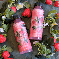 100mg Strawberry Splash Drink by LADY GRAY GOURMET MEDIBLES