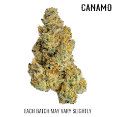 (S) Chewbakka Haze Deli by CANAMO