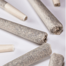 .5g African Voodoo PR by VITAL GARDENS LLC