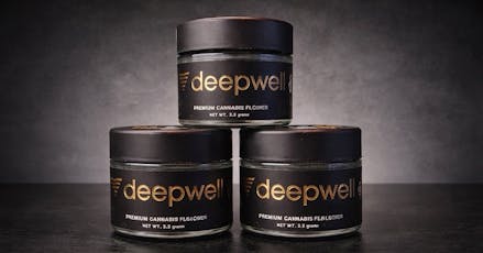 Prepackaged Flower - Deepwell - Prepackaged Flower 3.5g - Bananaconda