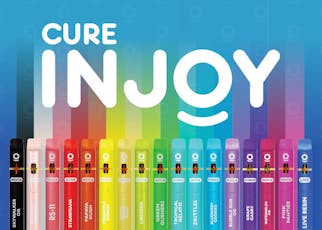 Vape Cart - Cure Injoy - 2G Disposable Vape - Plum Surprise