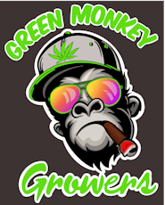 Prepackaged Shake - Green Monkey - Prepackaged Shake Ounce - The Dream by Green Monkey