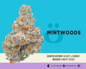 Skord: 7G Mintwoods <DOH>