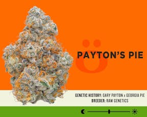 Skord: 7G Paytons Pie <DOH>