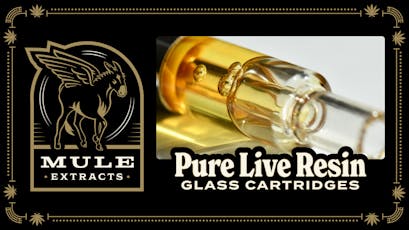 Mule - Strawberry Watermelon - 1g Live Resin Cartridge