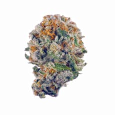 Blueberry Muffin | 3.5g Bag