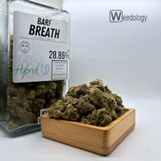 Barf Breath (I-H)