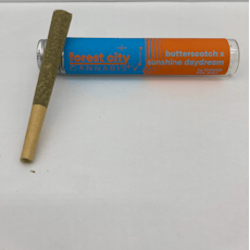Forest City | Butterscotch x Sunshine Daydream | 1g Pre-Roll