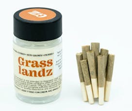 Glue 31 | .35g Mini Pre Rolls | 10ct