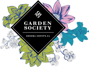 Garden Society | Dreamberry (I) (1:1:1) | 5mg THC / 5mg CBD / 5mg CBN x 20 Gummies