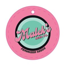 Lemon Shire Malek's Seeds 3pk Sativa