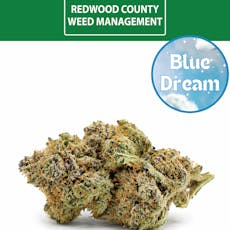 Blue Dream | 3.5g