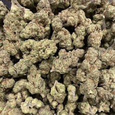 Grape Rntz Pie #1 (Decibel Farms)